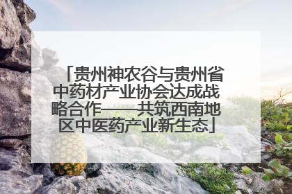 贵州神农谷与贵州省中药材产业协会达成战略合作——共筑西南地区中医药产业新生态