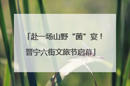 赴一场山野“菌”宴！晋宁六街文旅节启幕