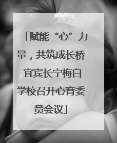赋能“心”力量，共筑成长桥 宜宾长宁梅白学校召开心育委员会议