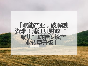 赋能产业，破解融资难！浦江县财政“三聚焦”助推传统产业转型升级