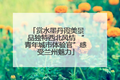 赏水墨丹霞美景 品独特西北风情 “青年城市体验官”感受兰州魅力
