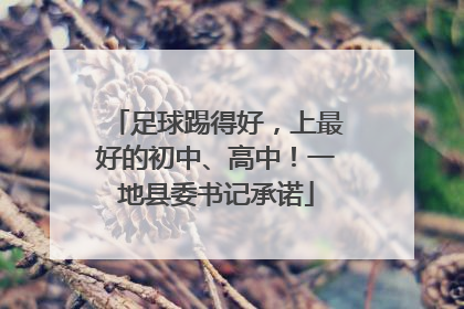 足球踢得好，上最好的初中、高中！一地县委书记承诺