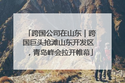 跨国公司在山东｜跨国巨头抢滩山东开发区，青岛峰会拉开帷幕