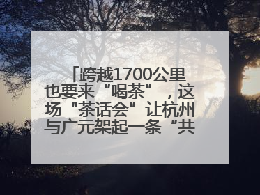 跨越1700公里也要来“喝茶”，这场“茶话会”让杭州与广元架起一条“共富之路”