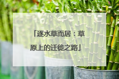 逐水草而居：草原上的迁徙之路