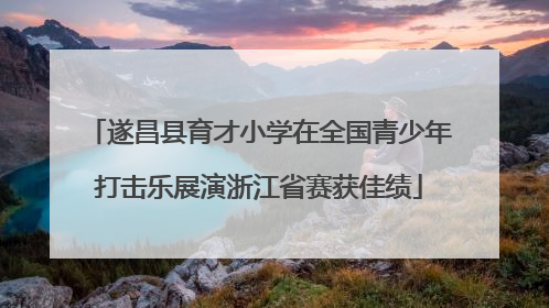 遂昌县育才小学在全国青少年打击乐展演浙江省赛获佳绩