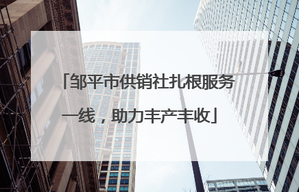 邹平市供销社扎根服务一线，助力丰产丰收