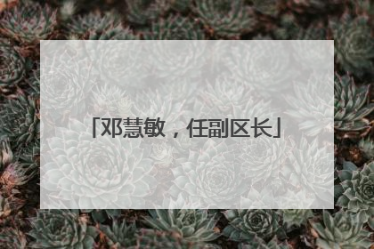 邓慧敏，任副区长