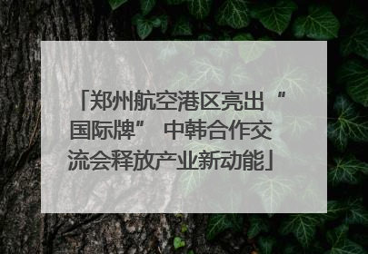 郑州航空港区亮出“国际牌” 中韩合作交流会释放产业新动能