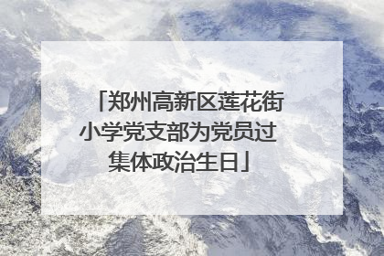 郑州高新区莲花街小学党支部为党员过集体政治生日