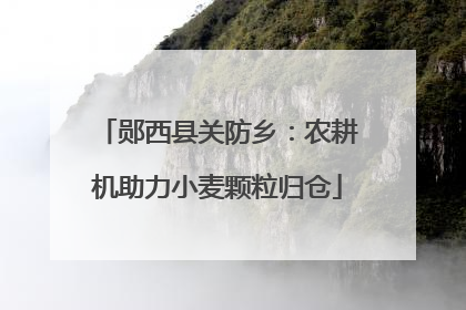 郧西县关防乡：农耕机助力小麦颗粒归仓