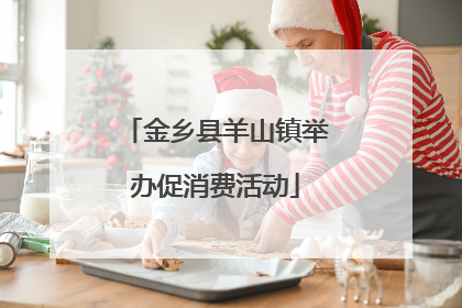 金乡县羊山镇举办促消费活动