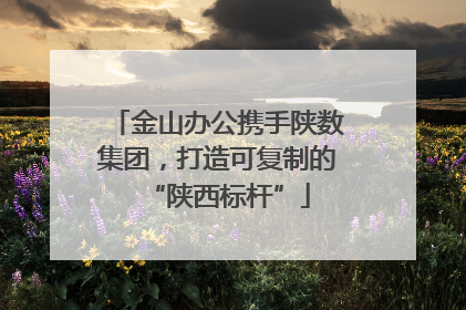 金山办公携手陕数集团，打造可复制的“陕西标杆”