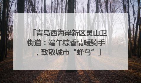 青岛西海岸新区灵山卫街道：端午粽香情暖骑手，致敬城市“蜂鸟”