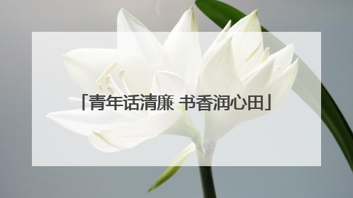 青年话清廉 书香润心田