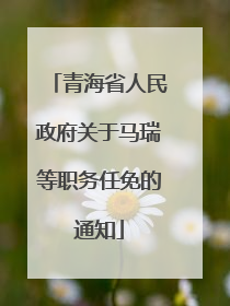 青海省人民政府关于马瑞等职务任免的通知