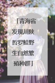 青海省发现川陕哲罗鲑野生自然繁殖种群