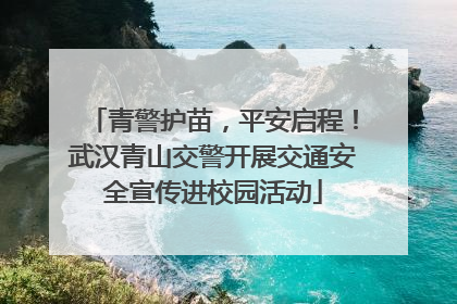 青警护苗，平安启程！武汉青山交警开展交通安全宣传进校园活动