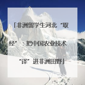 非洲留学生河北“取经”：把中国农业技术“译”进非洲田野