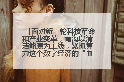 面对新一轮科技革命和产业变革，青海以清洁能源为主线，紧抓算力这个数字经济的“血液”、科技主权的“筹码”、产业升级的“杠杆”、绿色转型的“支点”，勇于撬动国家“双碳”战略、“东数西算”工程重大发展新机遇