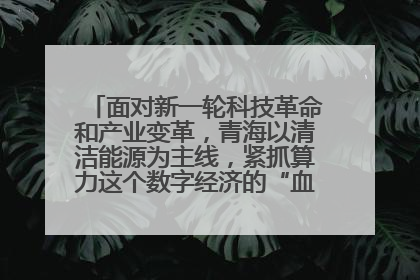 面对新一轮科技革命和产业变革,青海以清洁能源为主线,紧抓算力这个数字经济的“血液”、科技主权的“筹码”、产业升级的“杠杆”、绿色转型的“支点”,勇于撬动国家“双碳”战略、“东数西算”工程重大发展新机遇,点亮绿色算电协同新赛道,蹚出一条符合本地实际的高质量发展之路——青海:“绿色算力” 锚定“东数西算”国家战略布局