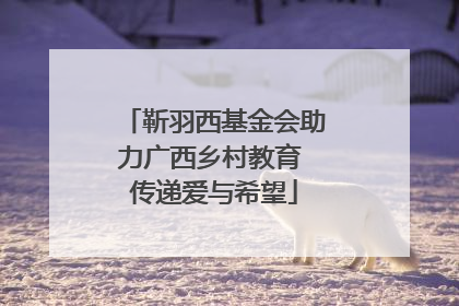 靳羽西基金会助力广西乡村教育 传递爱与希望
