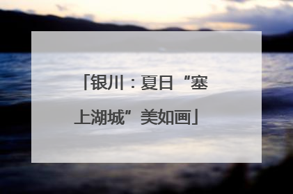 银川：夏日“塞上湖城”美如画