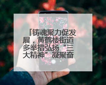 铸魂聚力促发展，黄鹤楼街道多举措弘扬“三大精神”凝聚奋进力量