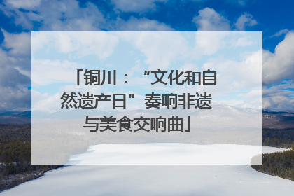 铜川：“文化和自然遗产日”奏响非遗与美食交响曲