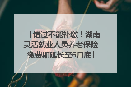 错过不能补缴！湖南灵活就业人员养老保险缴费期延长至6月底