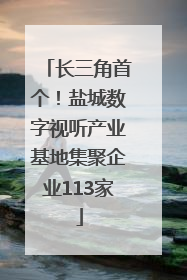长三角首个！盐城数字视听产业基地集聚企业113家