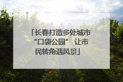长春打造多处城市“口袋公园” 让市民转角遇风景