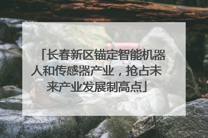 长春新区锚定智能机器人和传感器产业，抢占未来产业发展制高点