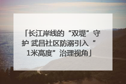 长江岸线的“双堤”守护 武昌社区防溺引入“1米高度”治理视角