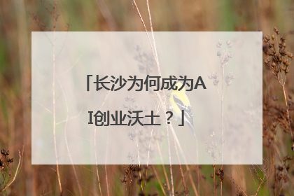 长沙为何成为AI创业沃土？