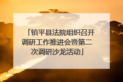 镇平县法院组织召开调研工作推进会暨第二次调研沙龙活动