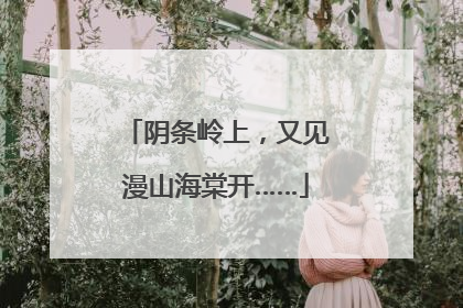 阴条岭上，又见漫山海棠开……