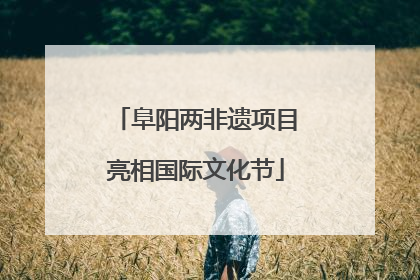 阜阳两非遗项目亮相国际文化节