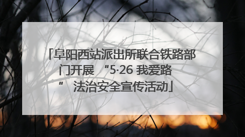 阜阳西站派出所联合铁路部门开展 “5·26 我爱路” 法治安全宣传活动