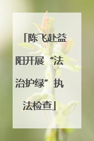 陈飞赴益阳开展“法治护绿”执法检查