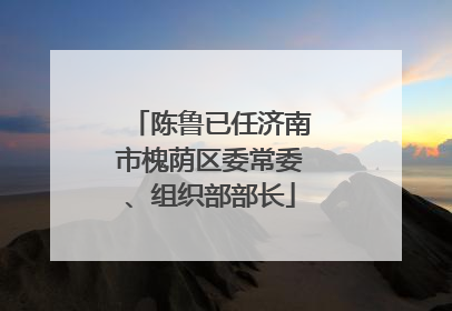 陈鲁已任济南市槐荫区委常委、组织部部长