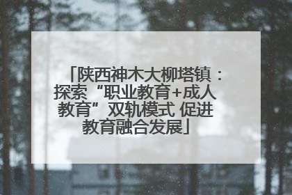 陕西神木大柳塔镇：探索“职业教育+成人教育”双轨模式 促进教育融合发展