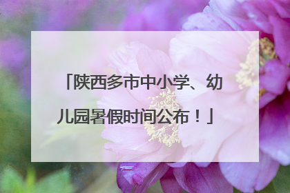 陕西多市中小学、幼儿园暑假时间公布！