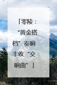零陵：“黄金搭档”奏响丰收“交响曲”
