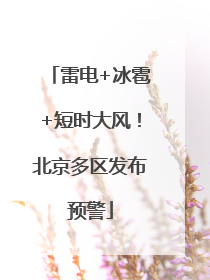 雷电+冰雹+短时大风！北京多区发布预警