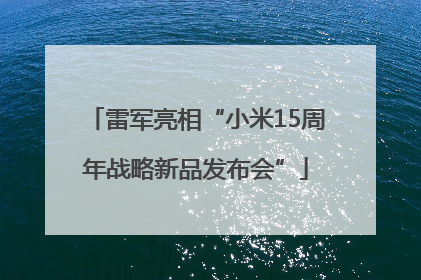 雷军亮相“小米15周年战略新品发布会”