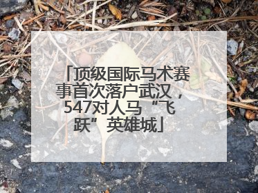 顶级国际马术赛事首次落户武汉，547对人马“飞跃”英雄城