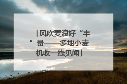 风吹麦浪好“丰”景——多地小麦机收一线见闻
