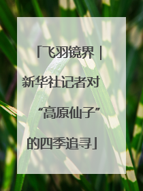 飞羽镜界｜新华社记者对“高原仙子”的四季追寻