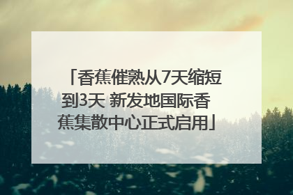 香蕉催熟从7天缩短到3天 新发地国际香蕉集散中心正式启用